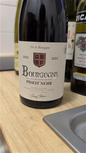 Bourgogne Pierre Chavin 2023