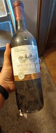 Bordeaux Montagne-saint-émilion Château Cap Or 2007