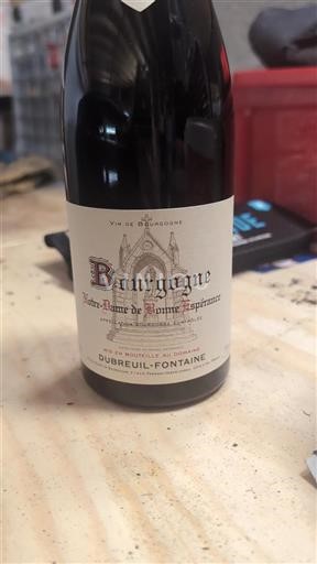 Bourgondië Bourgogne Dubreuil-Fontaine Notre-Dame de Bonne Espérance Niet-geïntegreerd