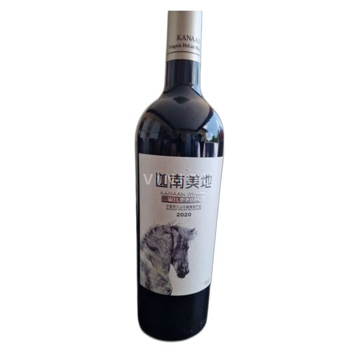 Ningxia Wild Pony 2020