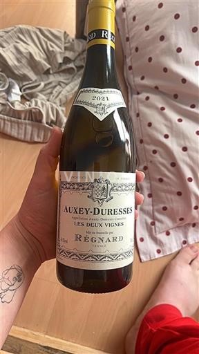 Borgogna Auxey-Duresses Régnard Les Deux Vignes 2021