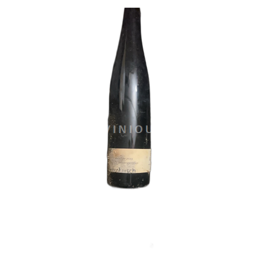 Mosela Clemens Busch Nonnengarten 2019