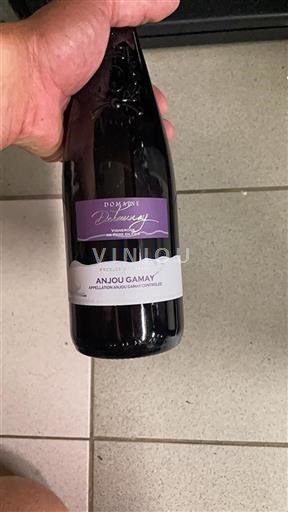 Loirevallei Anjou-gamay Domaine Delaunay Niet-geïntegreerd