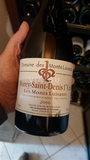 Borgoña No especificado Premier Cru Domaine Des Monts Luisants Les Monts Luisants 2006