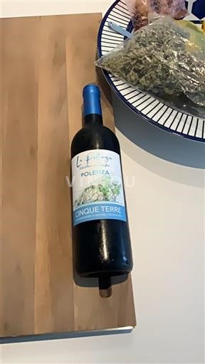 Wines of Liguria Cinque Terre La Polenza Polemeza Non-Vintage