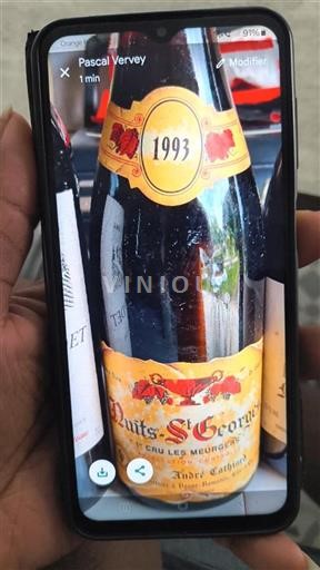 Bourgogne Ikke specificeret Premier Cru André Cathiard 1993