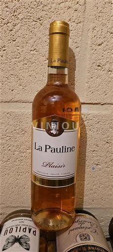 Rhônedalen Côtes du Rhône Domaine La Pauline 2022