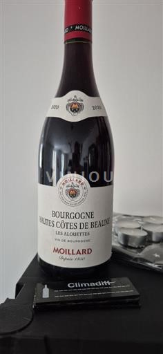 Bourgogne Hautes Côtes de Beaune Moillard Les Alouettes 2020
