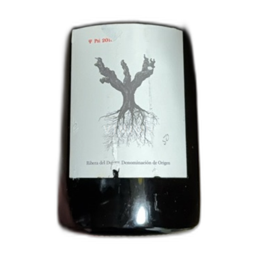Castile and León Ribera del Duero Psi 2010