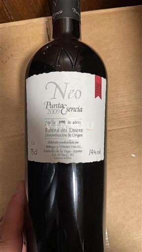 Castilien og León Ribera del Duero Bodegas y Viñedos Neo S.L Punta Esencia 2009
