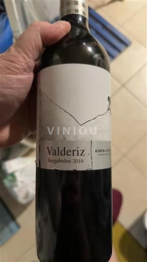 Castille et León Ribera del Duero Valderiz Juegabolos 2010
