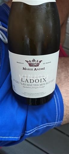 Borgoña Ladoix Premier Cru Marie André Les Hautes Mourottes 2023