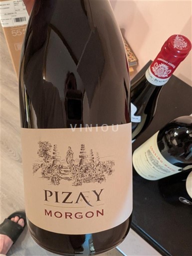 Beaujolais Morgon Pizay 2023