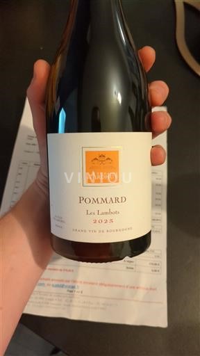 Borgoña Pommard Premier Cru Domaine Ardhuy Les Lambots 2023