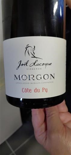 Beaujolais Morgon Joël Lacoye Côte du Py 2021