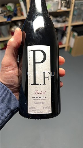 Castela-La Mancha Manchuela Bodegas y Viñedos Ponce PF 2023