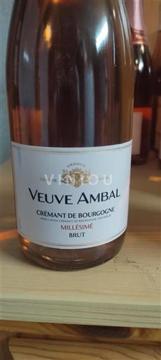 Burgundija Crémant de Bourgogne Veuve Ambal Millésimé Neleten.