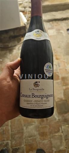 Burgundi Burgundin rinteet La Burgondie 2020
