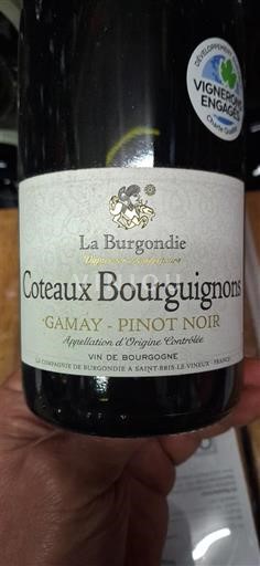 Burgund Burgunderhänge La Burgondie 2020