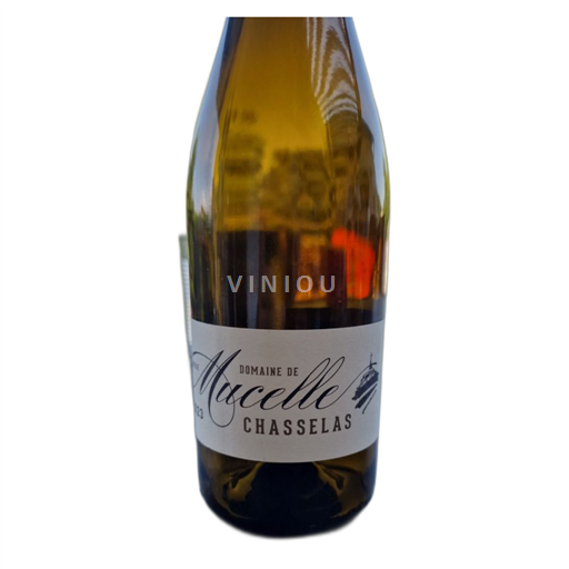 Valle del Rodano Domaine Mucelle Chasselas 2023