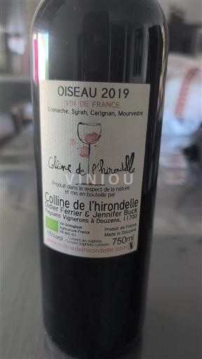 Languedoque Não especificado Colline de l'Hirondelle Oiseau 2019