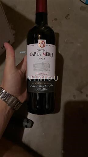 Bordeaux Lussac-saint-émilion Château Cap de Merle 2022