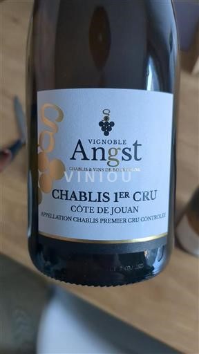 Bourgogne Chablis Premier Cru Vignoble Angst Côte de Jouan 2023
