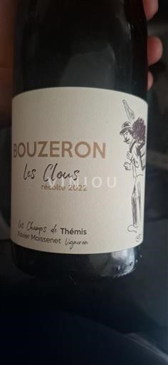 Burgundija Bouzeron Les Champs de Thémis Les Clous 2022