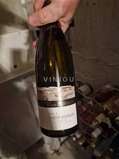 Borgogna Saint-Romain Domaine Henri et Gilles Buisson Sous La Velle 2013
