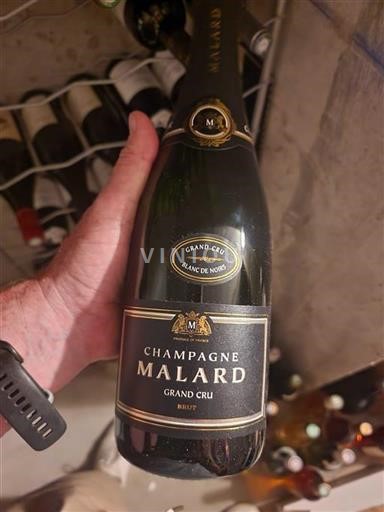 Champagne Champagner Malard Blanc de Noirs Ohne Jahrgang