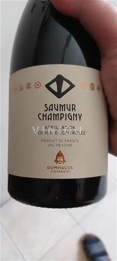 Vallée de la Loire Saumur-champigny Dumnacus Vignerons 2023