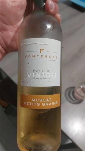 Languedoc og Roussillon Pays d'Oc Fontesole Muscat Petits Grains Ikke årgangsbestemt