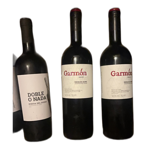 Castiglia e León Ribera del Duero Garmón 2021