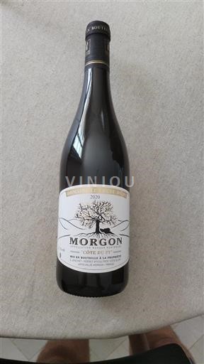 Beaujolais Morgon Domaine Le Chêne du Py Côte du Py 2020