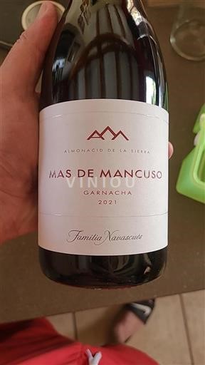 Aragonien Nicht spezifiziert Mas de Mancuso Garnacha 2021