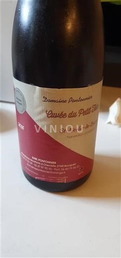 Valle della Loira Saint-Nicolas-De-Bourgueil Domaine Pontonnier du Petit Tom 2016