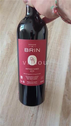 Vin Rouge sec Anthocyanes Domaine Brin 2015 France Sud-Ouest Gaillac AOC