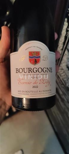 Borgoña Francis Delorme Terroir de Préty 2022