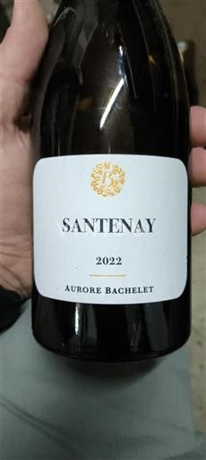 Borgoña Santenay Aurore Bachelet 2022