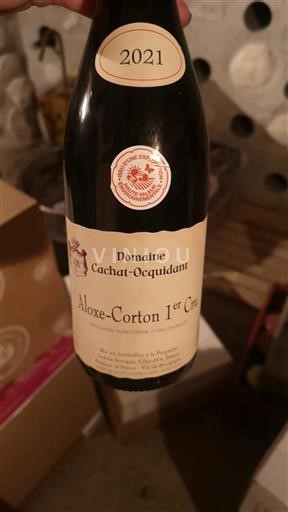 Burgundi Aloxe-Corton Premier Cru Domaine Cachat-Ocquidant 2021