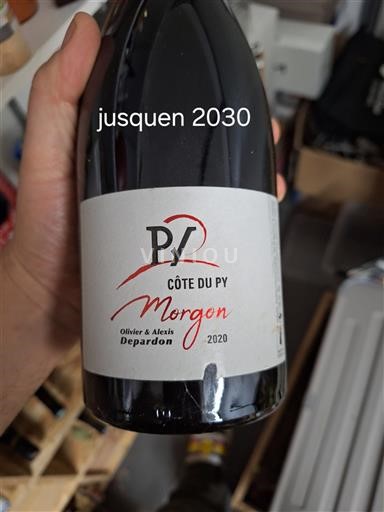 Beaujolais Morgon Olivier & Alexis Depardon Côte du Py 2020