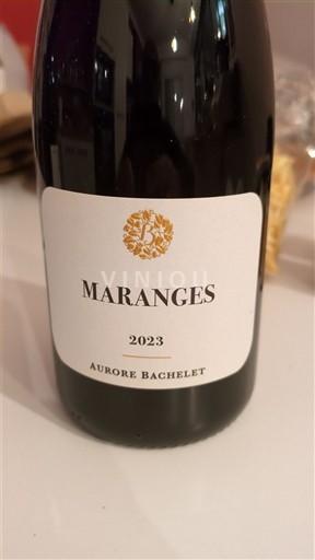Bourgogne Maranges Aurore Bachelet 2023