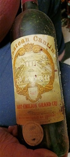 Bordoja Saint-Émilion Grand Cru Grand Cru Château Cantin 2004