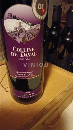 Vin Rouge sec Gamaret Colline de Daval 2021 Suisse Valais AOC