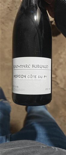 Божоље Моргон Jean-Marc Burgaud Côte du Py 2019