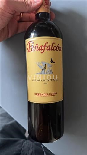 Castilien og León Ribera del Duero Peñafalcón Vendimia Seleccionada 2004