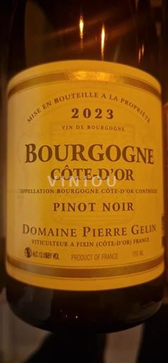 Bourgogne Bourgogne Côte d'Or Domaine Pierre Gelin 2023