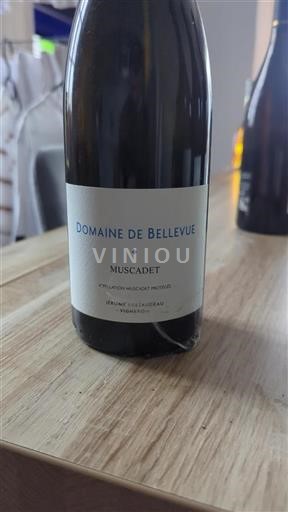 Loirevallei Muscadet Domaine Bellevue 2020
