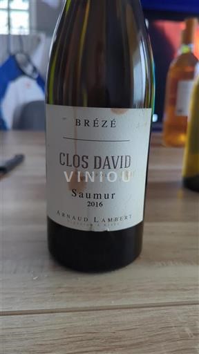 Loire Valley Saumur Arnaud Lambert Clos David 2016