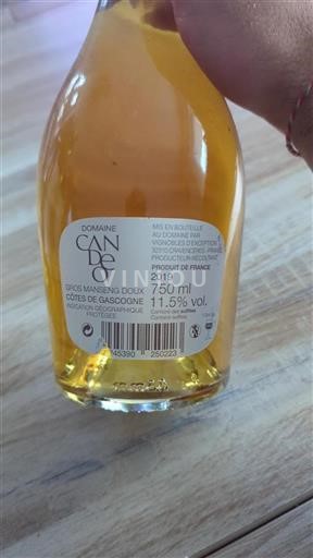 Zuidwest-Frankrijk Côtes de Gascogne Domaine Canet Gros Manseng Doux 2019